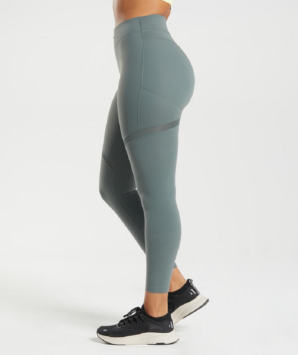 Gymshark Whitney Mesh Ženske Tajice Sive | HR 4006HAP